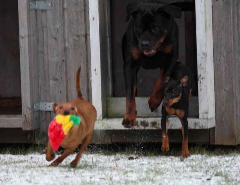 funny picture